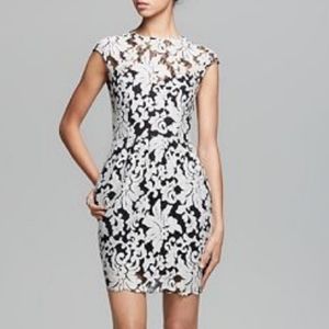 Dolce Vita Verie Embroidery Lace Dress in Cream/Black